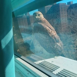 Meet your Posher, Jesse